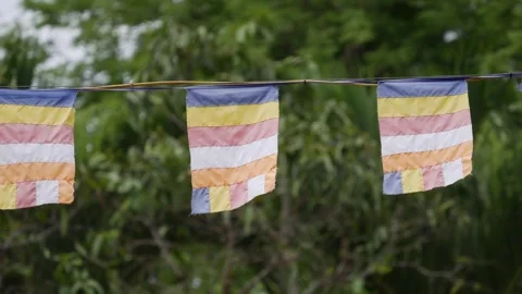 Colorful buddhist prayer flags waving on a line in the wind with green foliage b Stock Footage 342334896