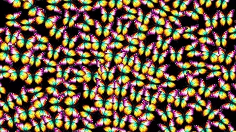 Colorful butterflies motion graphics with plain black background Video stock 345131027