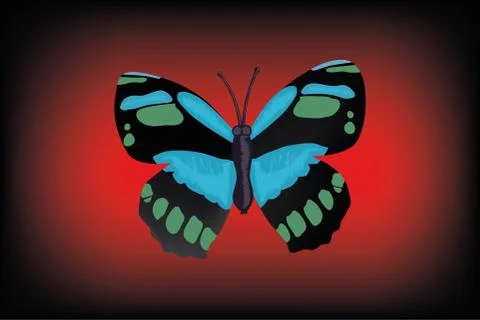 Colorful Butterfly Background Stock Illustration