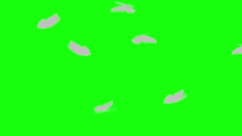 Colorful Butterfly Flight Graphic Loop in 4k Stock Footage 250597494