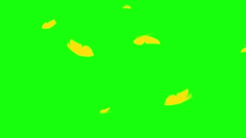 Colorful Butterfly Flight Graphic Loop in 4k Stock Footage 250597823