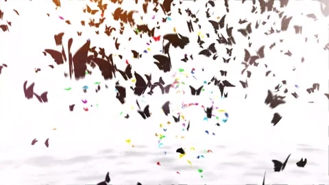 Colorful Butterfly Flight Graphic Loop in 4k Stock Footage 275865642