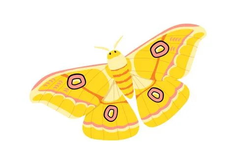 Colorful butterfly vector concept Stock-Illustration