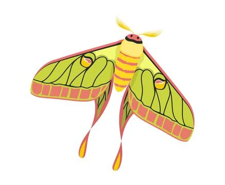 Colorful butterfly vector concept Stock Illustration