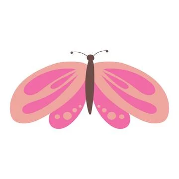 Colorful butterfly vector Stock Illustration