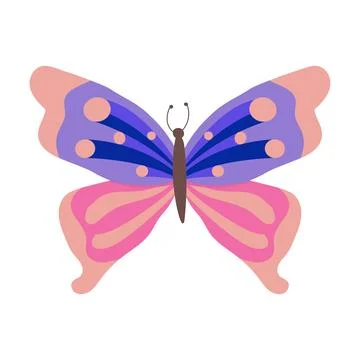 Colorful butterfly vector Stock Illustration