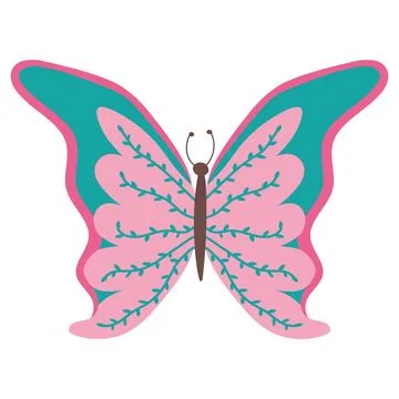 Colorful butterfly vector Stock Illustration