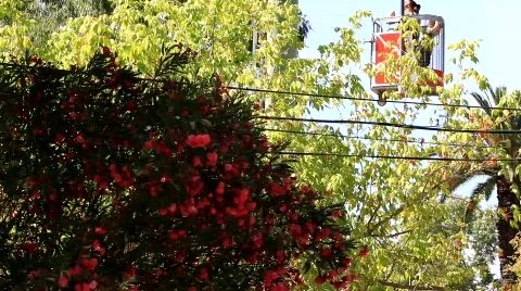 Colorful Cable Car Views Stock Footage
