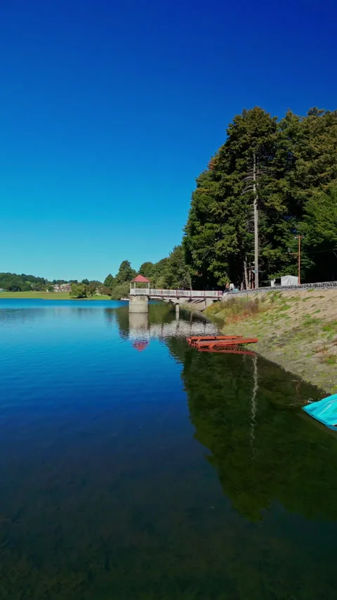 Colorful canopy boats moored beneath a tree-lined cliff on a reservoir Stock Footage 346015258