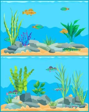 Seagrass Illustrations ~ Stock Seagrass Vectors