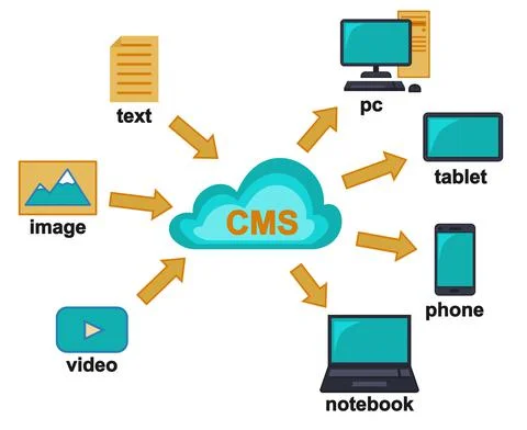 Colorful cartoon CMS cloud database infographic poster Illustrazione stock