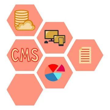 Colorful cartoon pattern of cms elements. Hexagon arrow point right. 스톡 일러스트