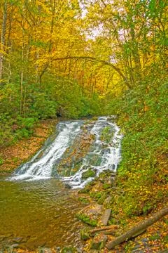 Colorful Cascade in the Fall Forest Fotos Stock