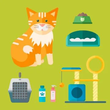 Colorful cat accessory cute vector animal icons pet equipment food domestic Stock Illustration