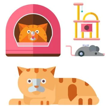 Colorful cat accessory cute vector animal icons pet equipment food domestic Stock Illustration