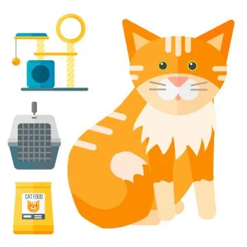 Colorful cat accessory cute vector animal icons pet equipment food domestic Stock Illustration
