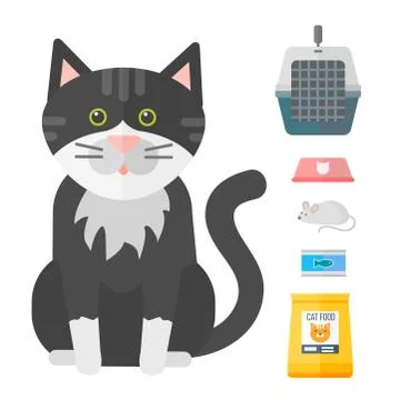 Colorful cat accessory cute vector animal icons pet equipment food domestic Stock Illustration