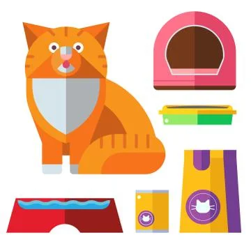 Colorful cat accessory cute vector animal icons pet equipment food domestic Stock Illustration