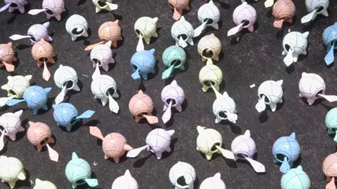 Colorful Ceramic Turtle Figurines Displayed at Eumundi Markets Sunshine Coast Au Stock Footage 341292007