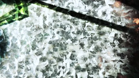 Colorful Chaos: Abstract Patterns in a Hypnotic Display Stock Footage 303504815