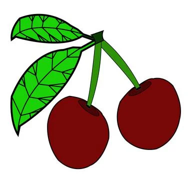 Colorful cherry with two leaf vector Stock Illustration