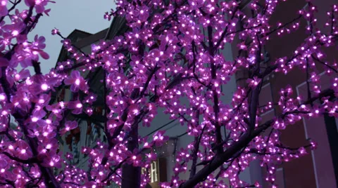 Colorful Christmas Tree Stock Footage 33463456