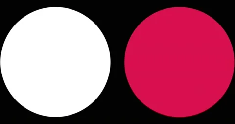 Colorful circle dynamic animation patterns motion background. Animation template Stock Footage 144233350