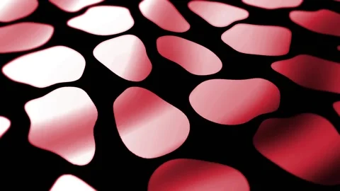  Colorful Circles Distortion Animation.  Stock Footage 239312341