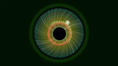 Colorful circular graphic with concentric lines and shapes Stock Footage 337232344