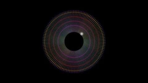 Colorful circular graphic design with concentric lines and shapes Stock Footage 337064306