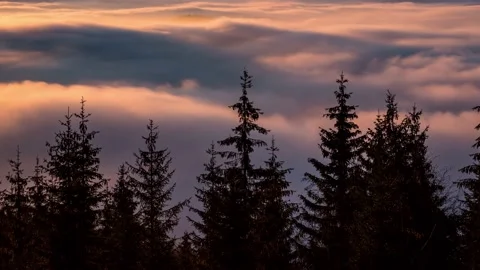 Colorful clouds above forest trees in beautiful evening nature Time lapse Stock Footage 145022419