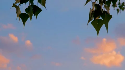 Colorful clouds at sunset. Bright colorful sunset. Beautiful sunset. sunset sky Stock-Footage 212438253