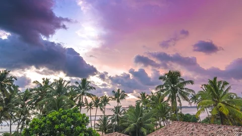Colorful cloudy sunset with palms time lapse Stock Footage 122342904