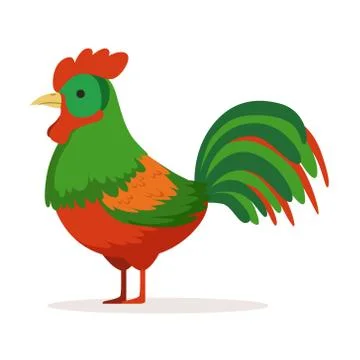 Colorful cock, poultry breeding vector Illustration Stock Illustration