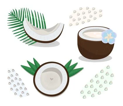 Colorful coconut set in different variations Stock Illustration