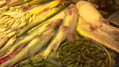 A colorful collection of fresh fish displayed together in a busy local marke Stock Footage 320034071