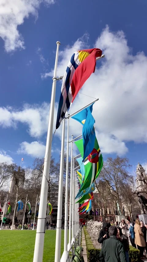 Colorful Commonwealth flags flutter along flagpoles at Parliament Square Garden Vídeos de archivo 332377856
