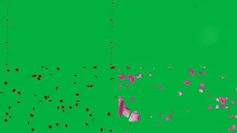 Colorful confetti and party elements falling on green screen chroma key Stock Footage 309643786