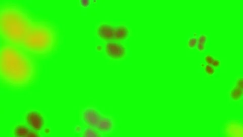 Colorful Confetti Exploding Against a Black Background Stock Footage 303781831