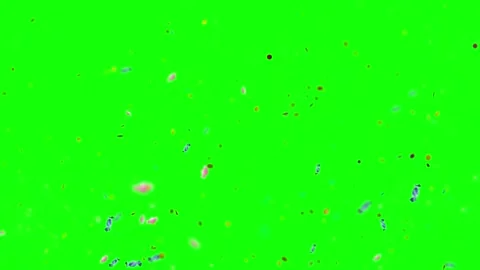 Colorful confetti falling on green screen. Festive party background with Видео 340381015
