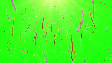 Colorful confetti falling on green screen. Festive party streamers isolated on Stock Footage 340716244