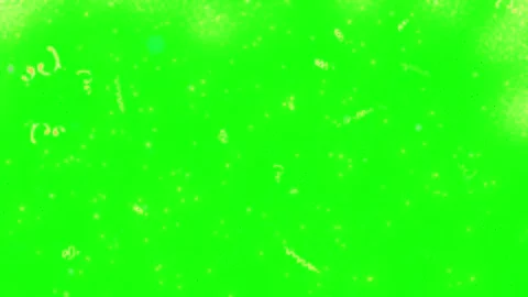 Colorful confetti falling on green screen. Festive party particles isolated on 스톡 동영상 340943584