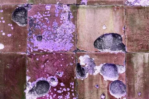 Colorful cracked tile texture, split tile, old vintage floor or wall background Stock Photos