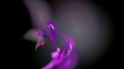 Colorful curves abstract loop motion background Stock Footage 70605369