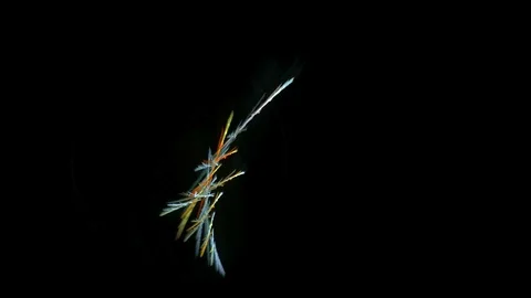 Colorful curves abstract loop motion background Stock Footage 70686292