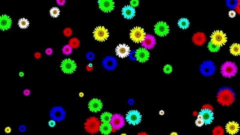 Colorful daisy flowers motion graphics with plain black background Stock Footage 288357891