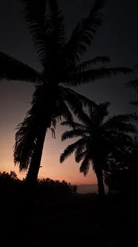 Colorful dawn sky Stock Photos