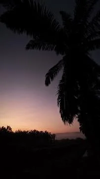 Colorful dawn sky Stock Photos
