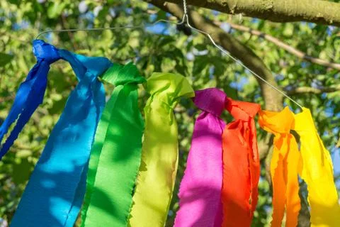 Colorful decation at a tree Stock Photos