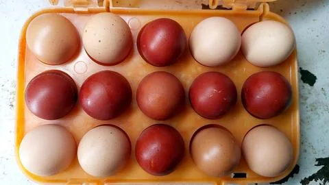 Colorful decorated Easter eggs arranged neatly in a tray ready for holiday .. Stock Photos